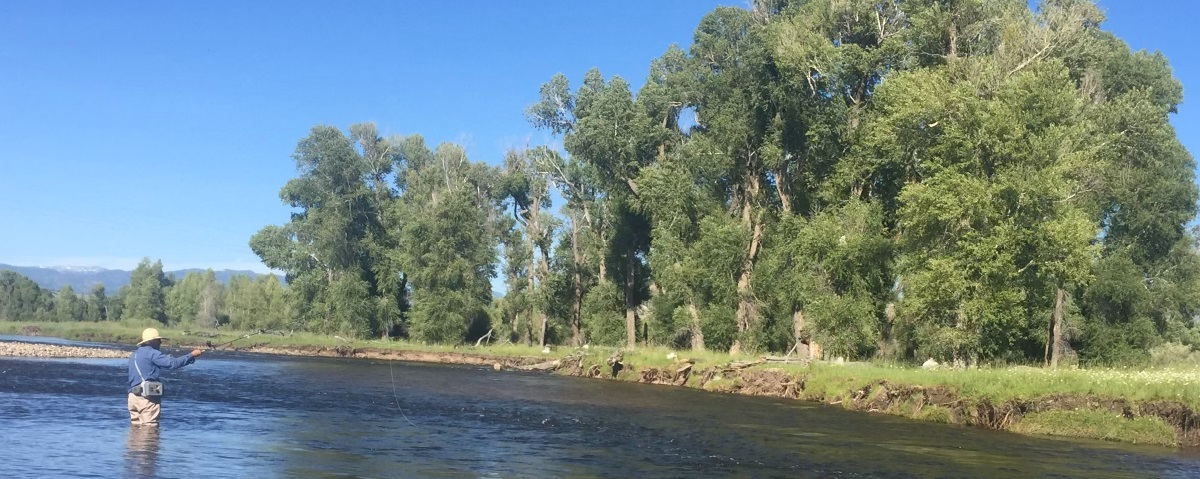 Yampa River Steamboat Springs, CO Fishing