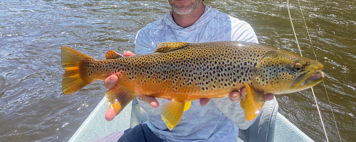 Yampa River Trout Fishing